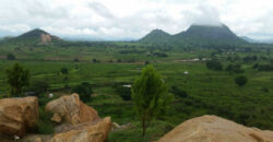Abuja Land For Sale & Joint Venture (H1)